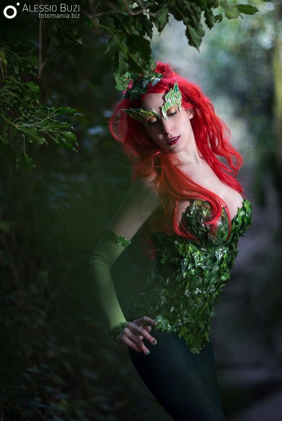 Poison Ivy Batman Hero Movie Inspired Costume Etsy