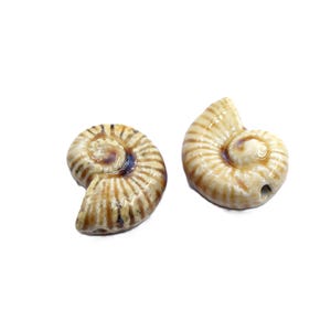 x2 Zeeslakparels in glanzend beige geglazuurd keramiek