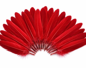 Natural red feathers, 50 pieces, 11-14 cm – Duck feathers for costumes, dreamcatchers, DIY jewelry – Ships from France