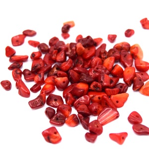 Pode incluir: Um monte de pequenas contas de coral vermelho, espalhadas sobre um fundo branco. As contas são de forma irregular e têm um acabamento natural e polido.