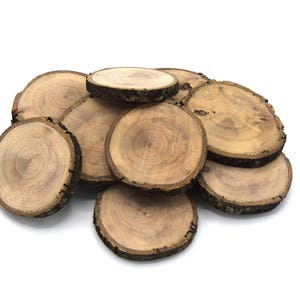 10x dischi di legno rotondi/dischi di ramo fai da te in legno d'ulivo circa  Ø 3 cm -  Italia
