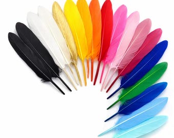 50 naturgefärbte Federn – 11–14 cm – Farbauswahl – Ideal für Schmuck und Traumfänger – Versand aus Frankreich