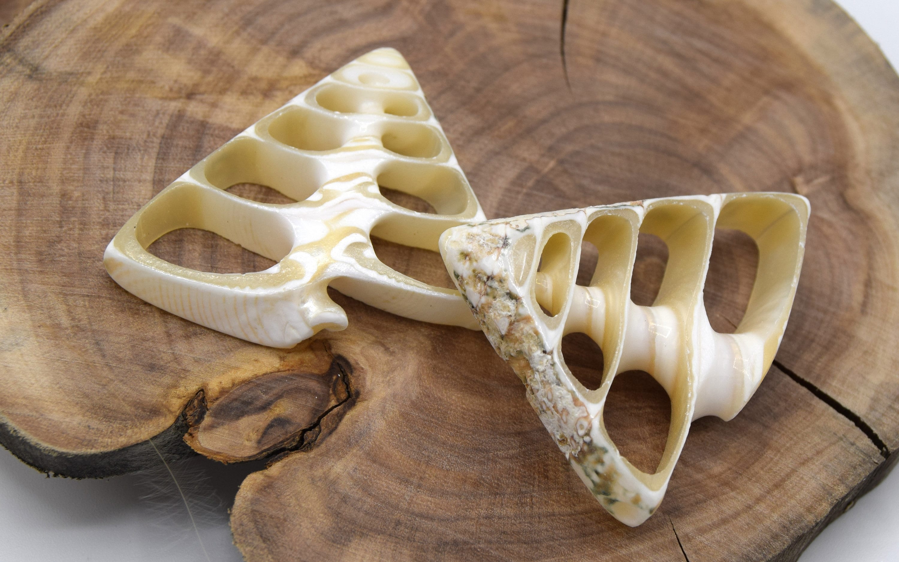 貝螺鈿矢立 Yatate decorated w/h pieces-shell Y7396 KAI AWASE 貝螺鈿矢立 Yatate decorated w/h pieces-shell Y7396 KAI AWASE