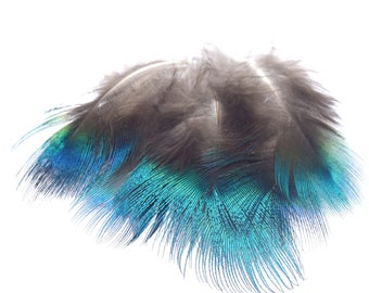 Plumas de pavo real natural grado A plumón azul - Pack de 5/10 unidades