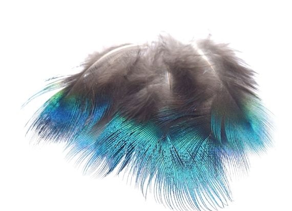 Natural down cheap and feather