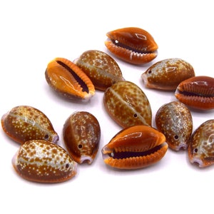 Cowrie shell natural spotted brown about 20-25 mm drilled or drilled 2 holes - Lot of 10/30 units CC022