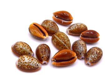 Natural brown speckled cowrie shell, approximately 20-25 mm, drilled or with 2 holes - Pack of 10/30 units CC022