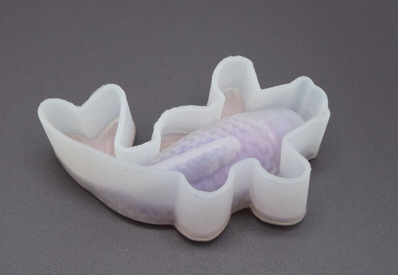 K&ouml;nnte beinhalten: Eine transparente Silikonform in Form eines Koi-Karpfens. Die Form ist f&uuml;r die Herstellung eines Gie&szlig;harzes oder einer Seife in Fischform konzipiert.