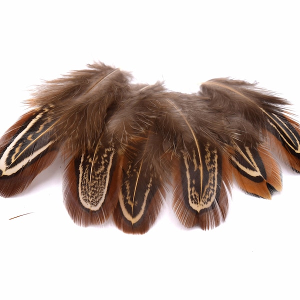 x20 natural brown pheasant feathers