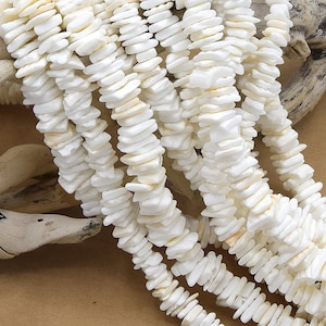 May include: A strand of white shell beads, each bead is a flat, irregular shape. The beads are strung together to form a long necklace.