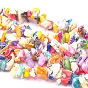 Könnte beinhalten: Eine Schnur aus bunten Muschelperlen in verschiedenen Formen und Größen. Die Perlen sind in den Farben Weiß, Rosa, Orange, Gelb, Grün, Blau und Lila.