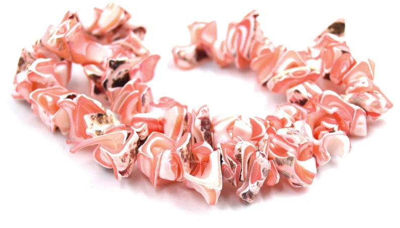 Natürliche rosa Trochid-Muschelperlen ca. 40 Einheiten pro Ständer. Bild 2