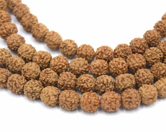 10 Undyed natural rudraksha beads, brown round ~8mm