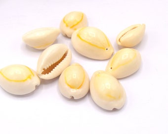 Large pierced Cowrie shell ~ 21~26 mm - cowrie shells - batch of 10/20/50 units
