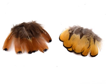 x20 plumes naturelles marron deux modèles