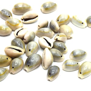 Muszle porcelanowe o otworach 13~16 mm - muszle porcelanowe - partia 20/40 sztuk - CC16