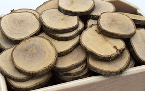 Tranches De Bois Naturel Pré-percées - Lot De 45 Rondins 7-8 Cm, Épaisseur 0.5 Cm - Pour Bricolage, Décoration, Pyrogravure