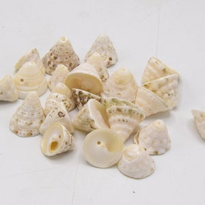 Set of pearly cone Puka shells - shells for decoration and jewelry making, pierced shells 10/20