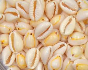 Cowrie shells drilled 1 or 2 HOLES ~14 mm - cowrie shells - batch of 10/50/100 units