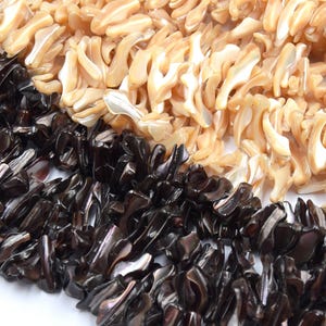 Può includere: Primo piano di tre fili di perline di conchiglia. Il filo superiore è di colore beige chiaro, il filo centrale è di un beige più scuro e il filo inferiore è marrone scuro. Le perline hanno una forma irregolare e organica, con una finitura lucida.