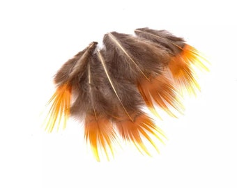 x20 plumes naturelles faisan orange