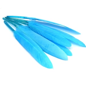 x20 sky blue / navy blue feathers - DIY and jewelry making