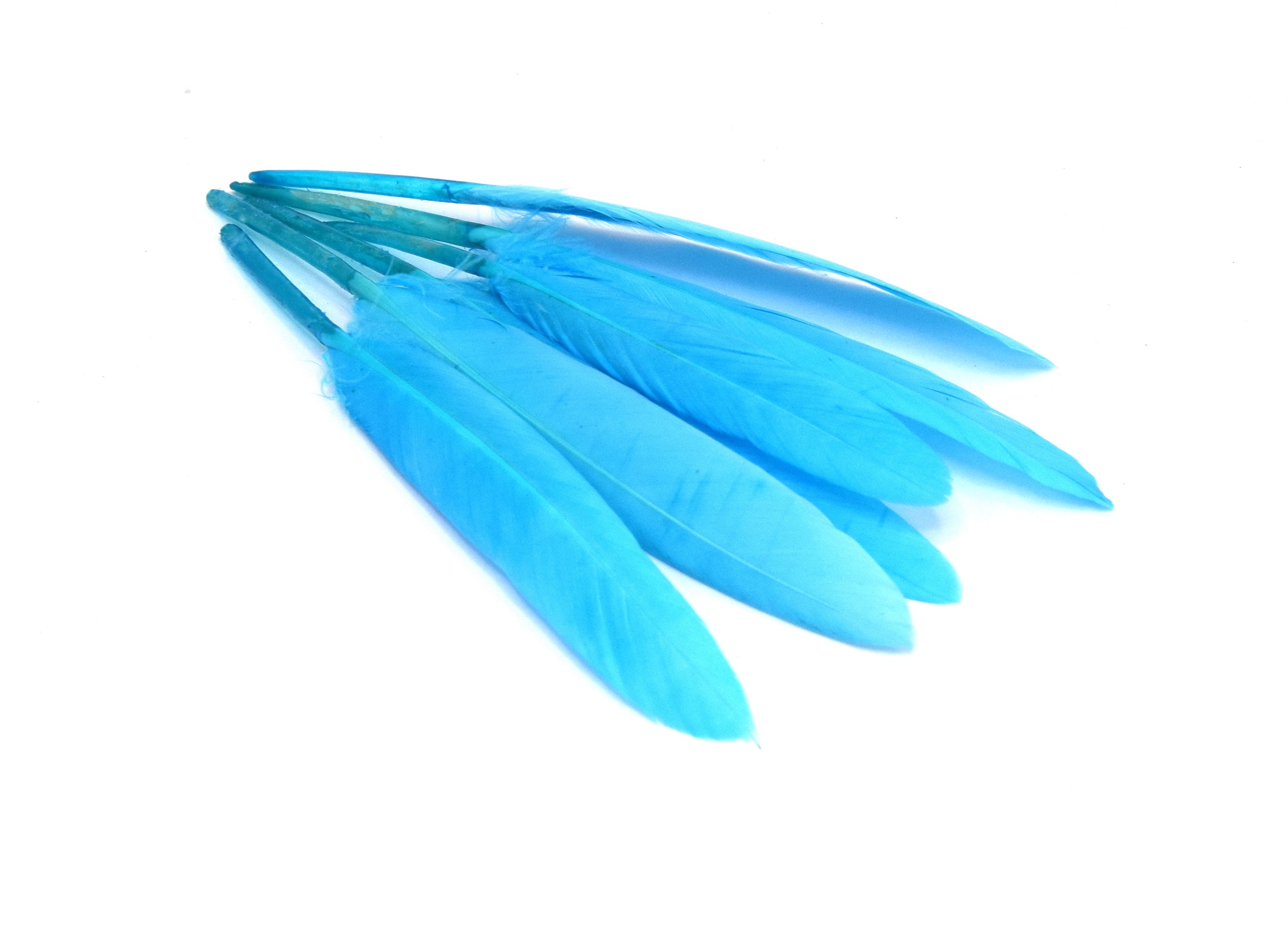 Buy X20 Sky Blue / Navy Blue Feathers - DIY and Jewelry Making