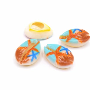 x6 Cowrie shells printed starfish no hole