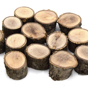 Può includere: Una collezione di fette di legno, ognuna con un'unica venatura e una texture di corteccia. Le fette sono disposte in un cerchio, creando un'estetica rustica e naturale.
