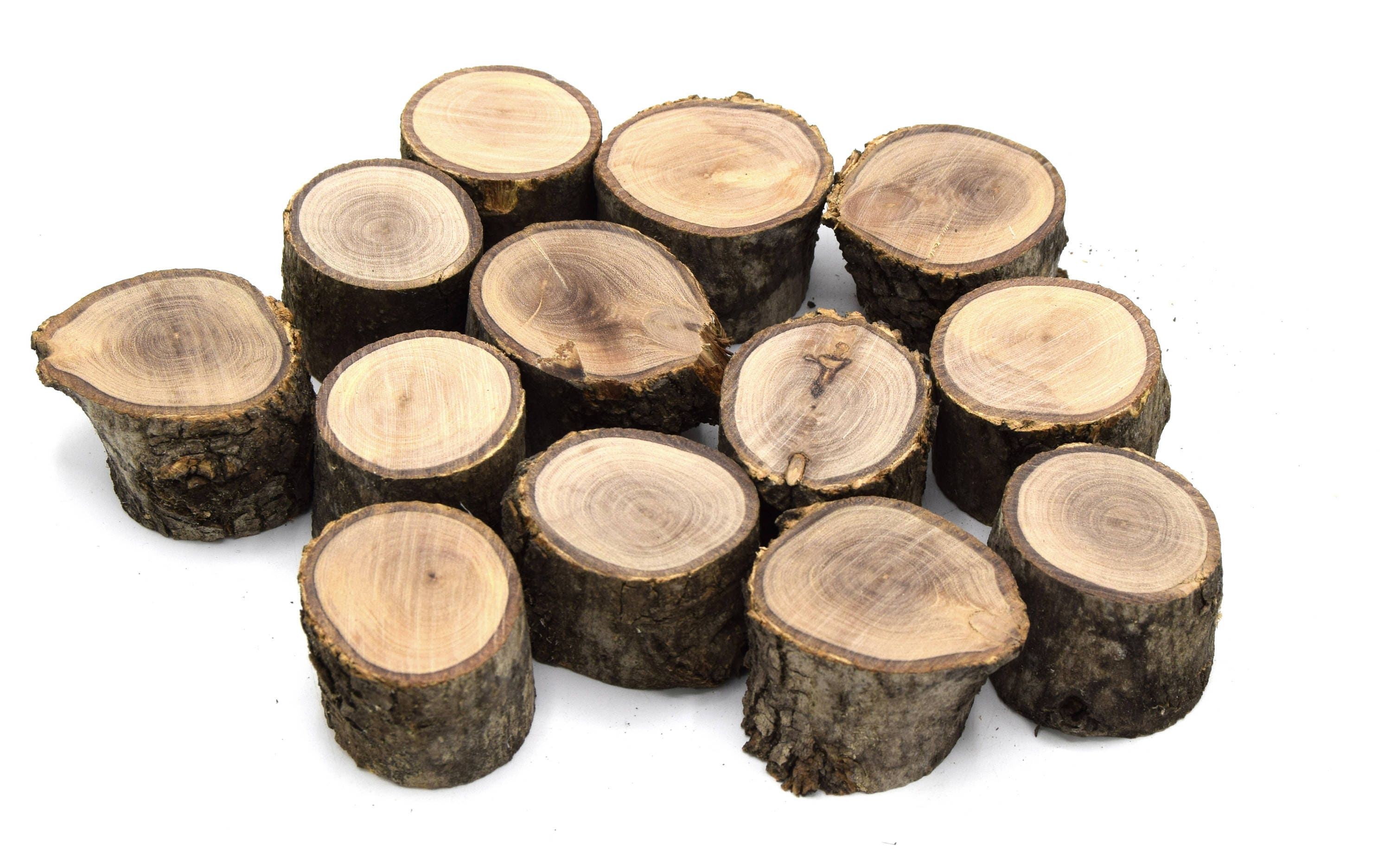 X10 Olive Wood Logs for Wooden Decoration Ø40mm Th. 2.5cm