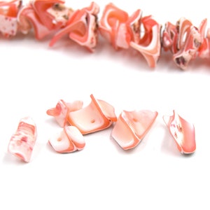 Natürliche rosa Trochid-Muschelperlen ca. 40 Einheiten pro Ständer. Bild 4