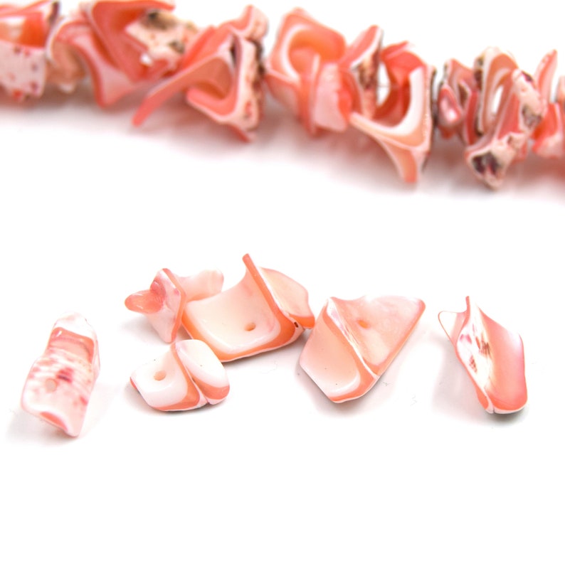 Natürliche rosa Trochid-Muschelperlen ca. 40 Einheiten pro Ständer. Bild 4
