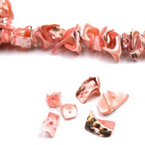 Natürliche rosa Trochid-Muschelperlen ca. 40 Einheiten pro Ständer. Bild 3