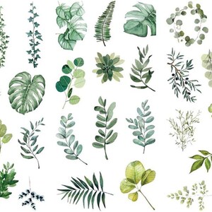 3 feuilles d'autocollant décoratifs motif de feuille pour scrapbooking album photo livre cahier et calendrier