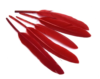 x20 plumes rouge -