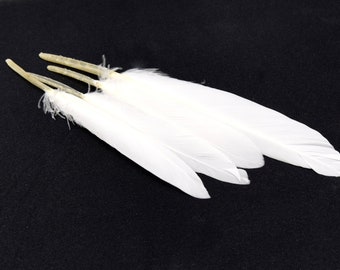 x20 plumas blancas-