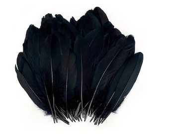 20 black/pink/blue goose feathers - DIY and jewelry making