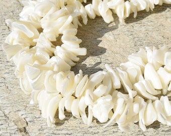 Creamy white natural sea shell chip pearl - Lot of 20/40 units