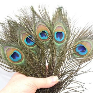 Undyed natural peacock feathers ~25~30 cm