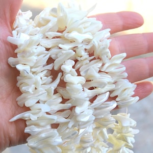 Creamy White Natural Sea Shell Chip Bead - 20/40 Count Lot