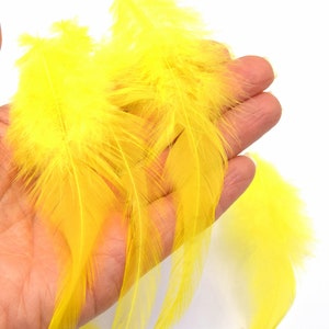 Può includere: Un mazzo di piume di colore giallo brillante. Le piume sono morbide e soffici, e sarebbero perfette per l'artigianato o la decorazione.
