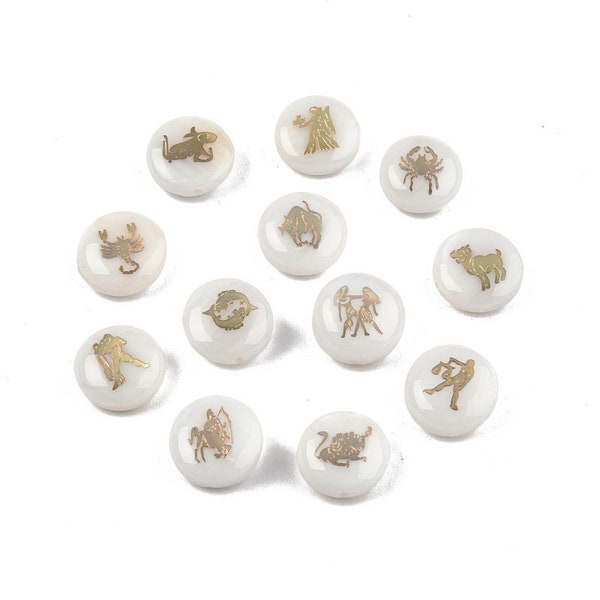 Perles 12 signes du zodiaque coquillage d'eau douce naturelles rondes et plates  -  1 kit de 12 perles