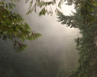 Capilano Daybreak