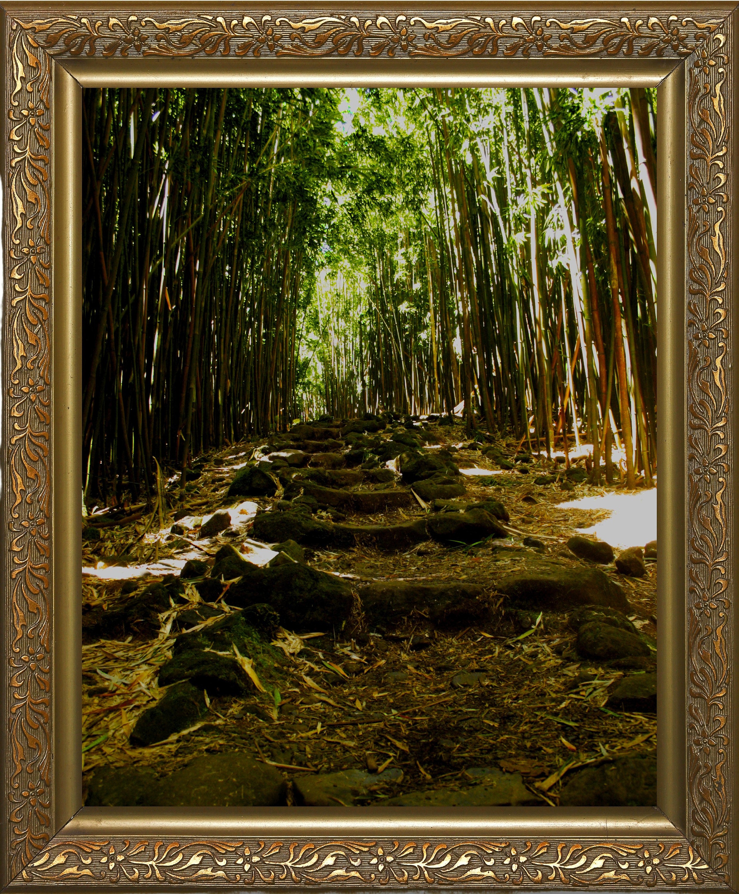gallery photo