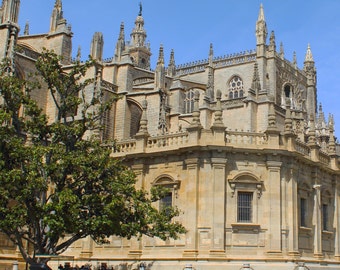 Catedral Sevilla, A Resting Point