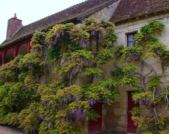 Maison des Glycines