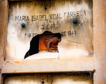 La Tumba Rota - The Broken Tomb.  From La Coleccion de las Imagenes Ocultas - Hidden Images.