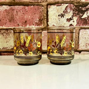 Libbey Glass Tawny Autumn Foliage Small Juice Glasses / Vintage Libbey Small Juice Tumblers / 1970s Juice Glasses / Retro 70s Glassware