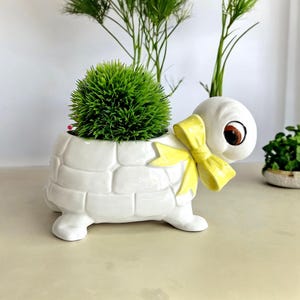 Peut inclure: Un pot de plante en céramique blanche en forme de tortue avec un nœud jaune et une plante verte. La tortue a une carapace détaillée et des yeux bruns. Le pot est rempli d'une plante verte vibrante et sphérique.