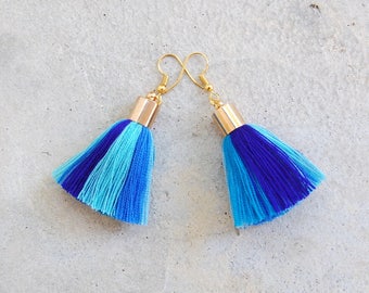 Handmade Multi Blue Tassel Earrings